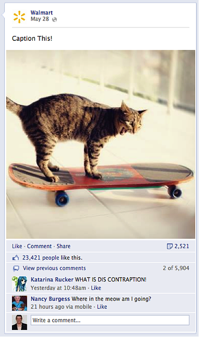 Kitten walmart caption this post