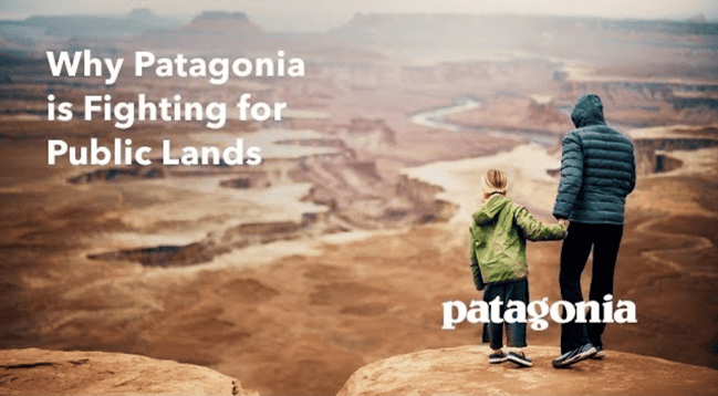 patagonia 2