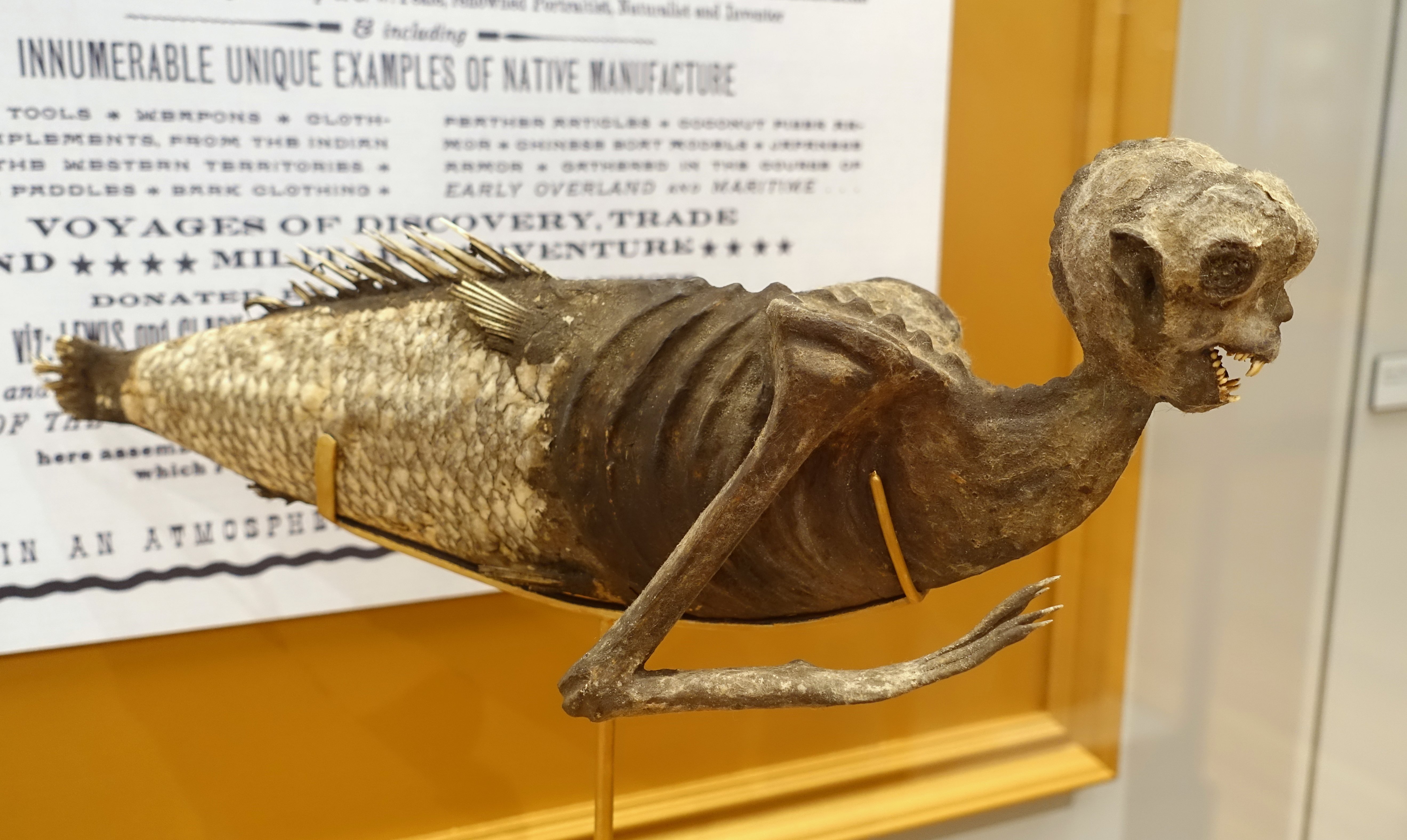 Fiji mermaid