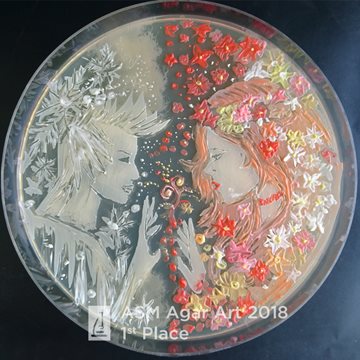 Agar-Art-2018-1st-Place-WM-The-battle-of-winter-and-spring