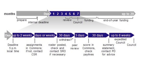 NIH website-graphic-time-review-funding.png