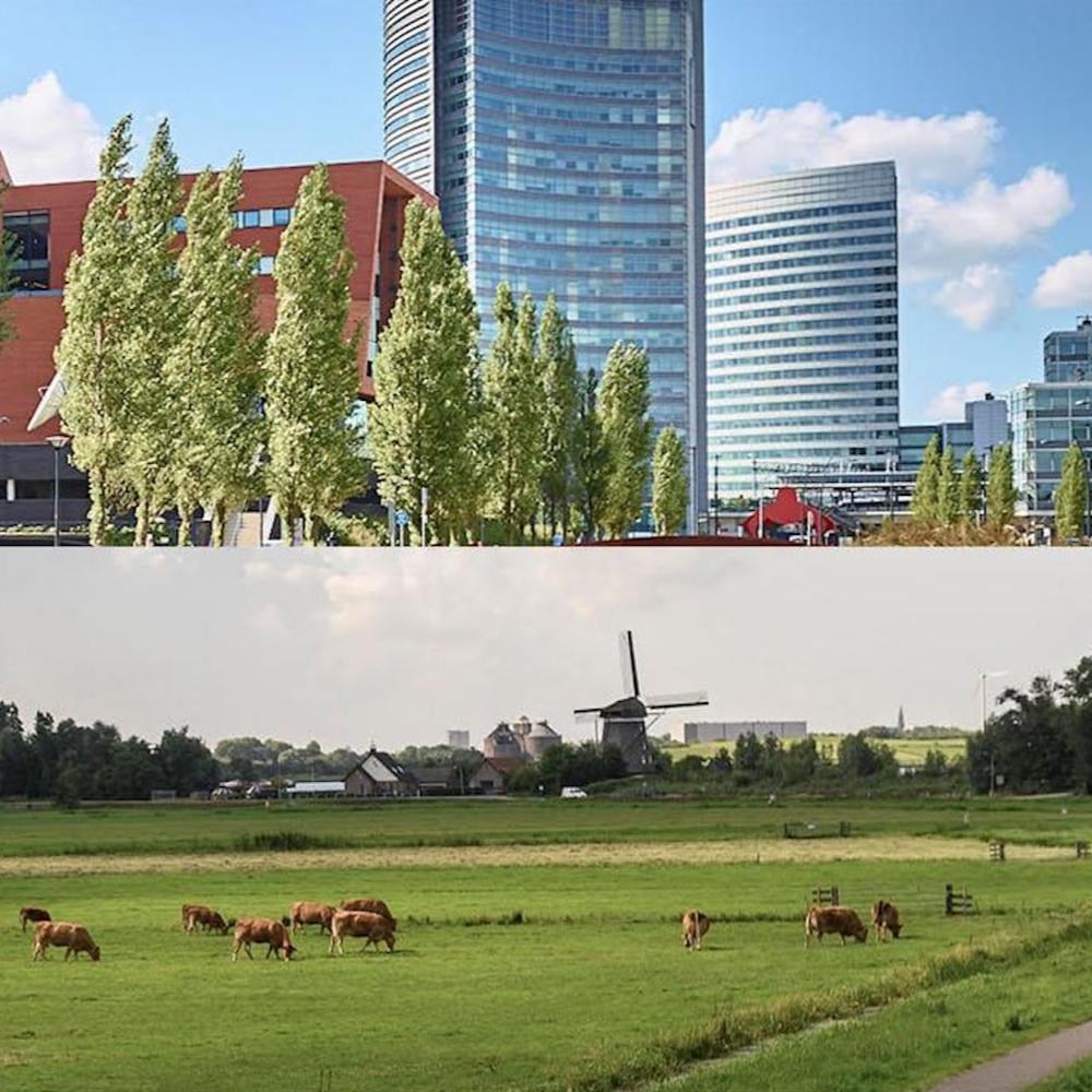 Repositioning Haarlemmermeer as Amsterdam Airport City