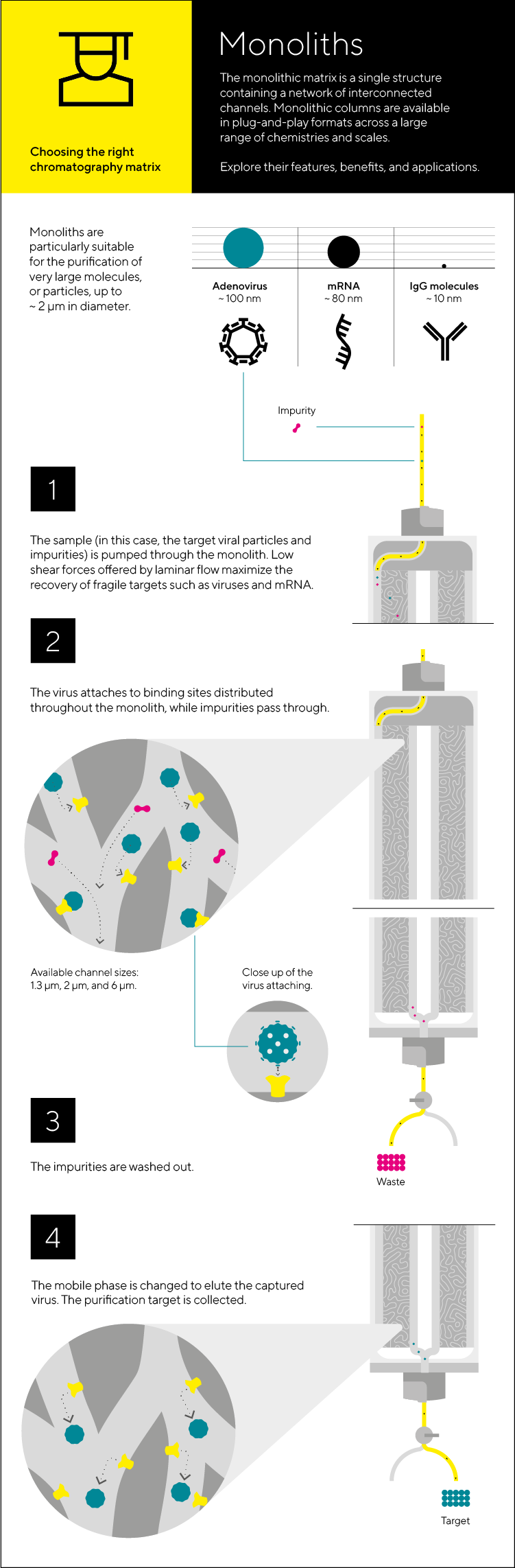 211215_Sartorius_Infographic_Monoliths_Final Draft_750_png