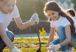 Non profit and sustainability marketing