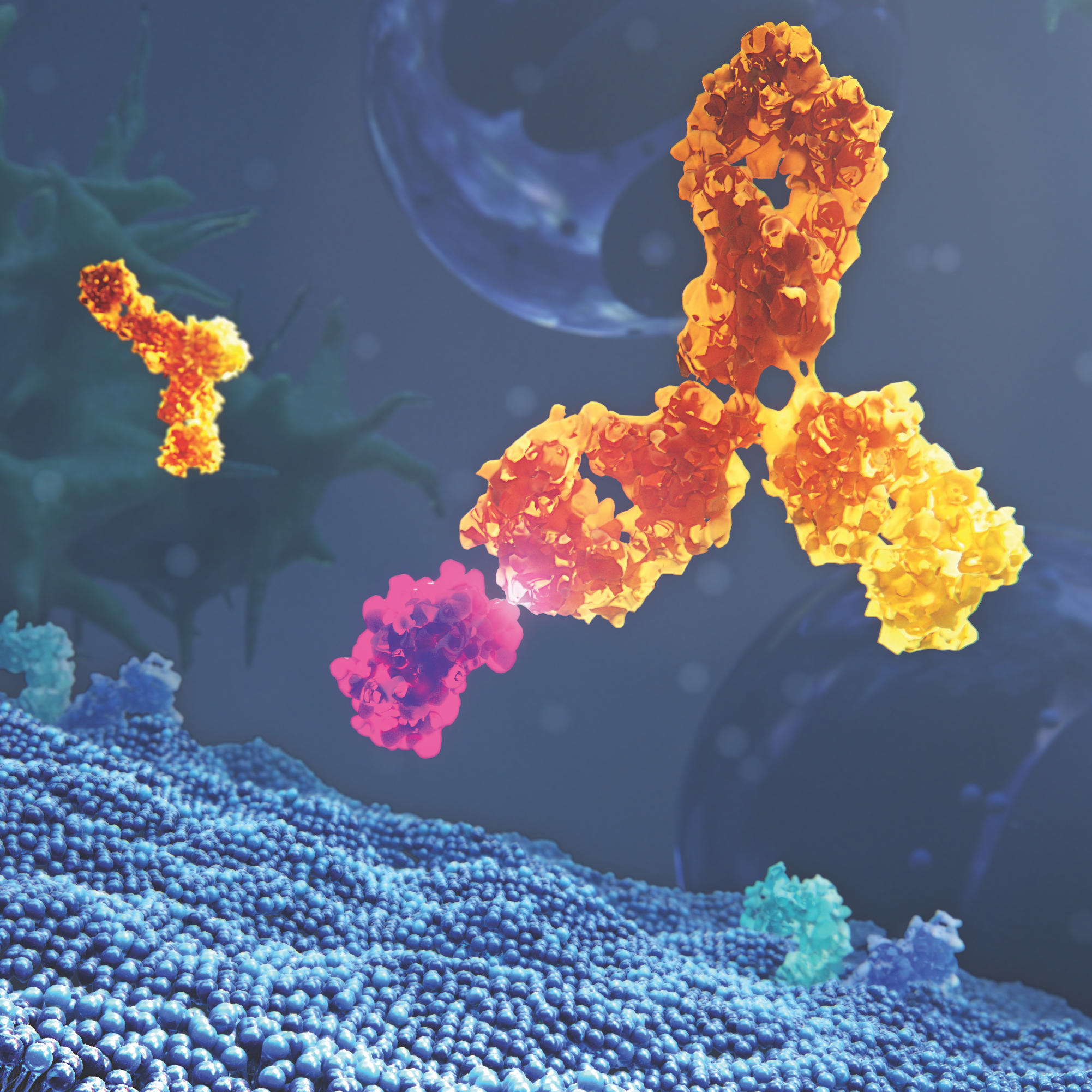 AZ1903 RIA Antibody that binds to upstream epithelial cytokines-1