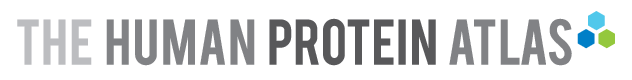 The Human Protein Atlas Logo