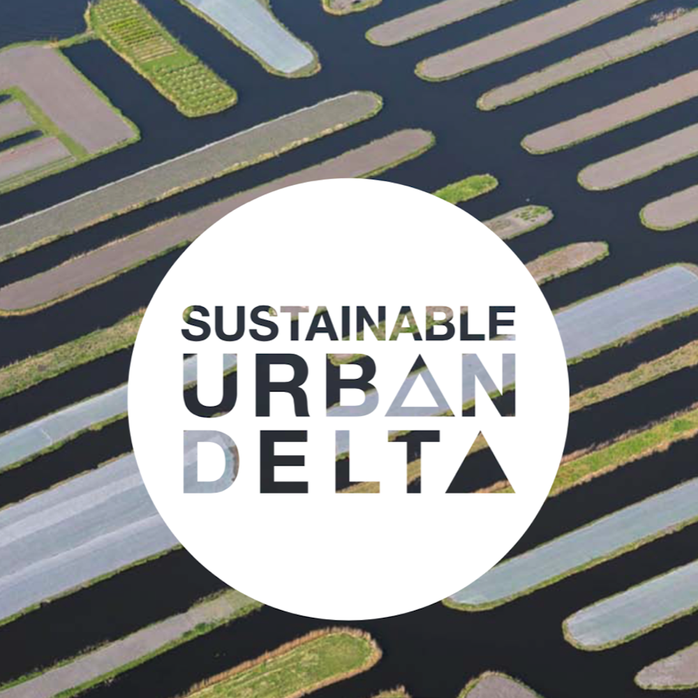 Developing positioning for the Dutch Sustainable Urban Delta