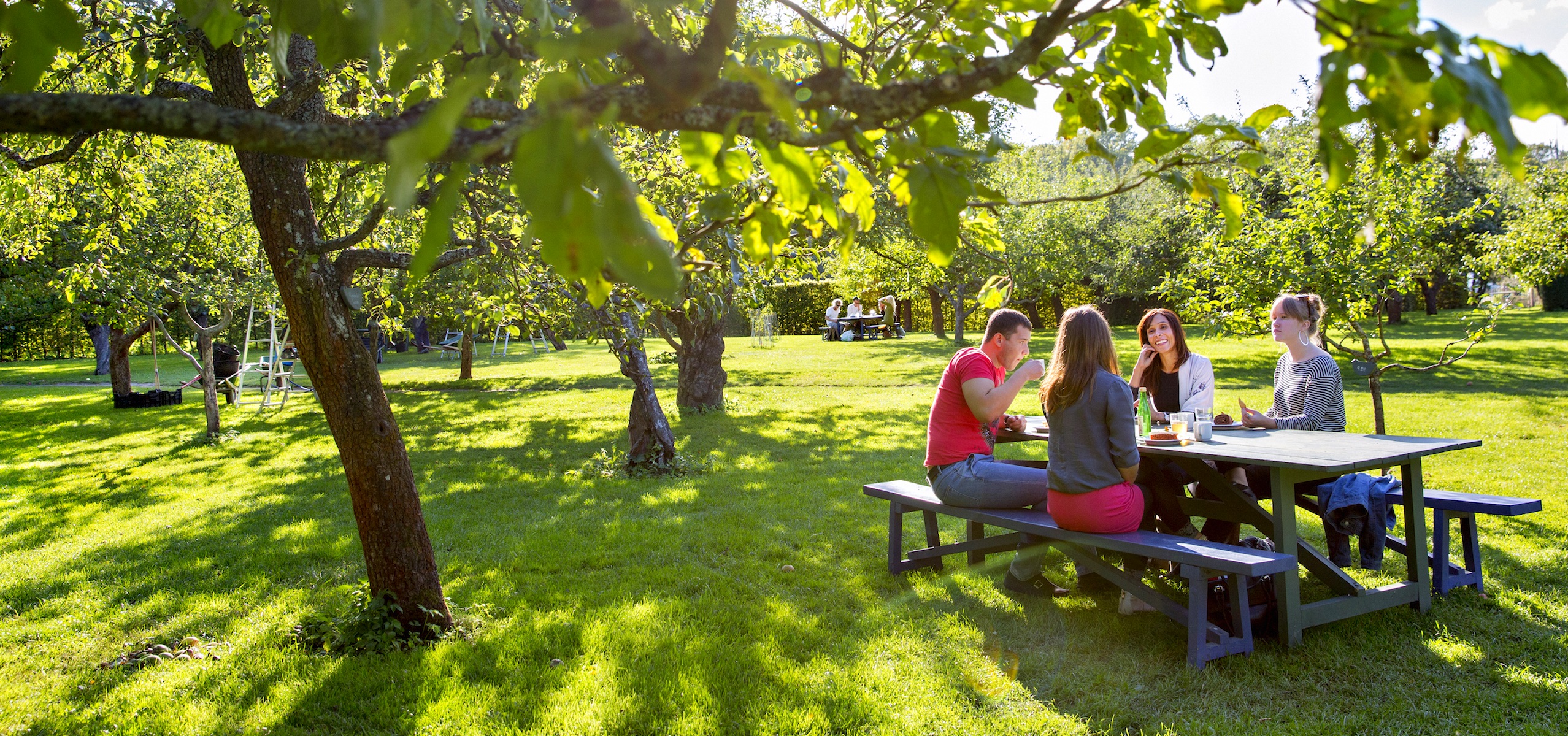 Fruktträdgården