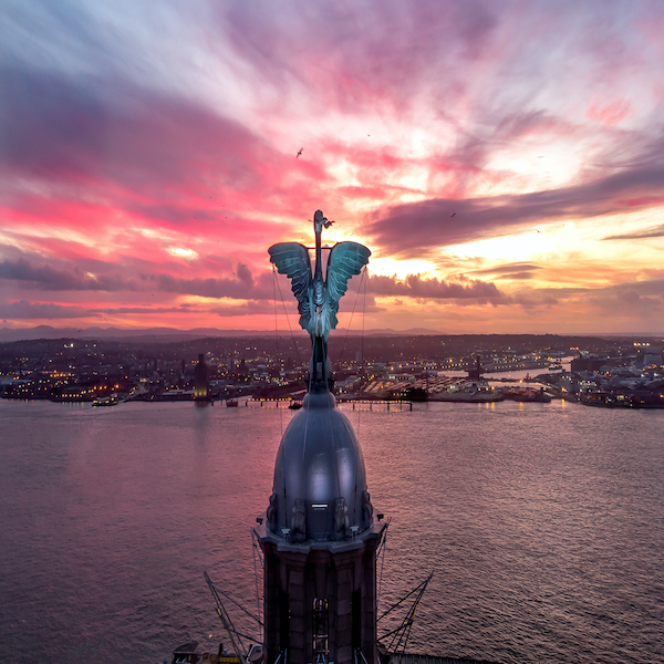 Liver Bird-1