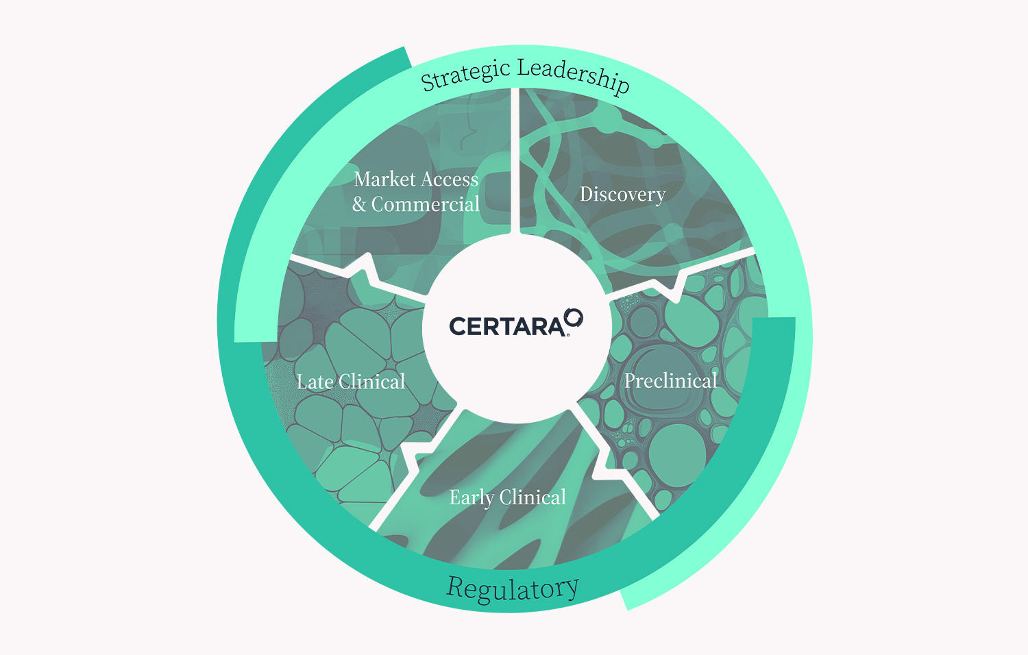 certara-diagram certara-diagram
