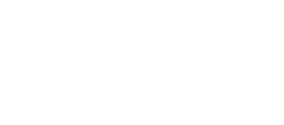 nelsons-logo