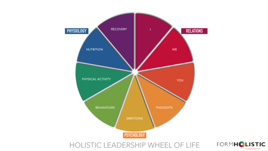 holistic wheel